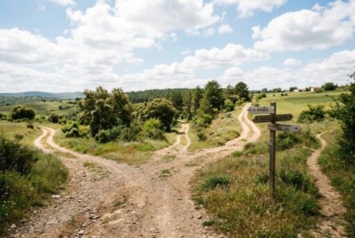 Camino con varias direcciones como símbolo de una decisión con muchas opciones.